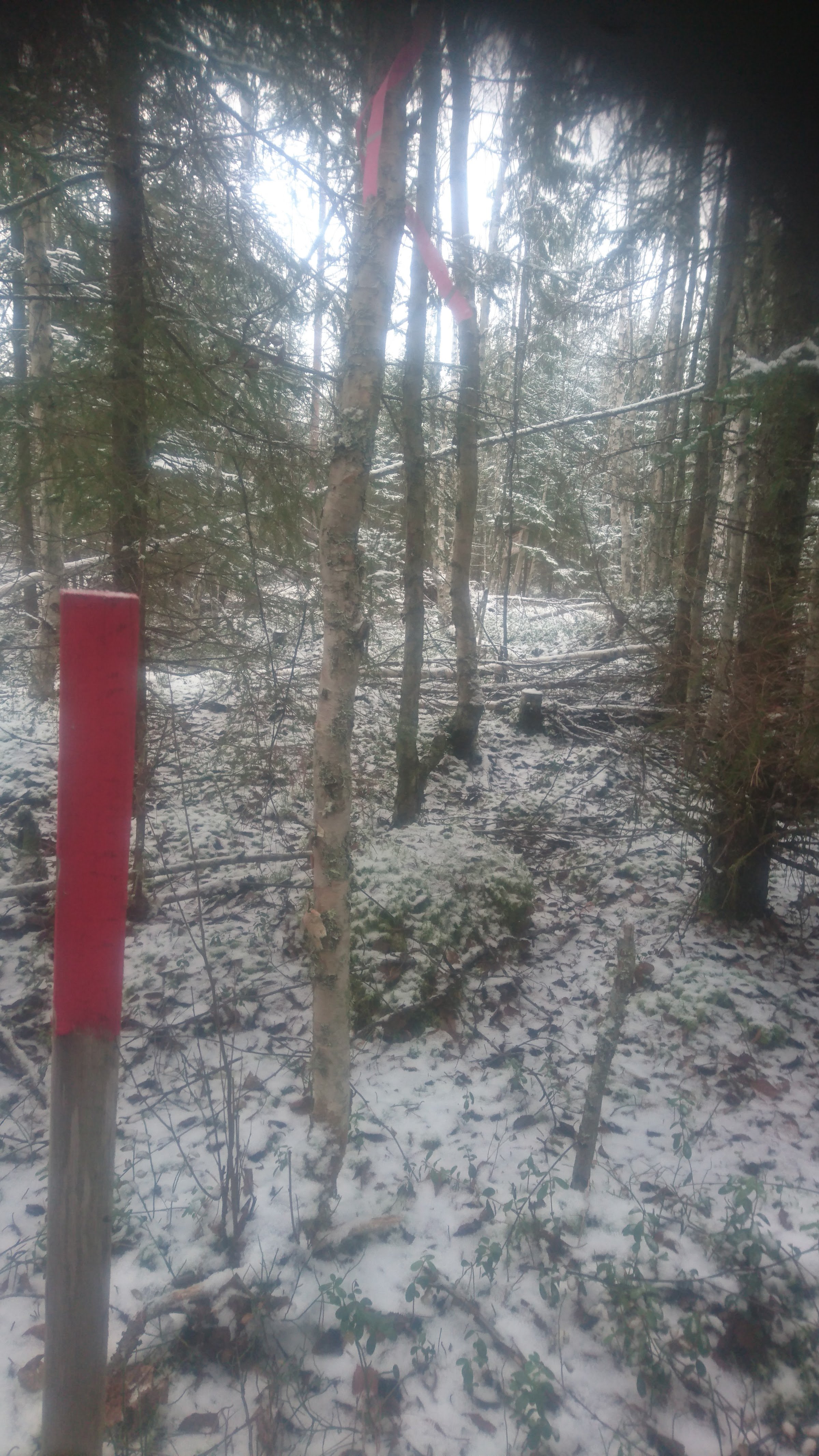 The focal point of Finland